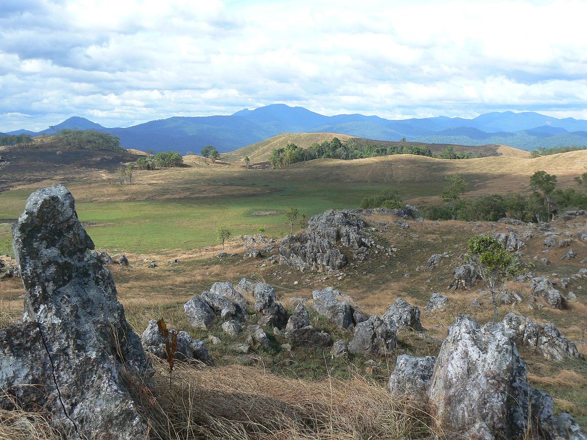 Virachey National Park
