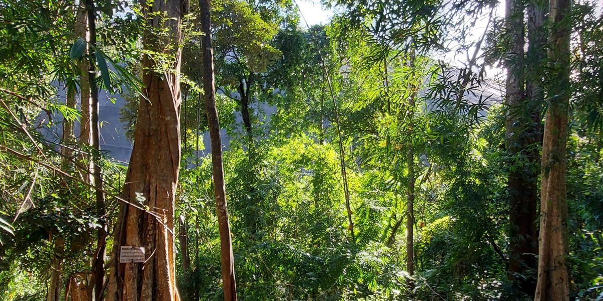 5 hiking places in Cambodia you should not miss
