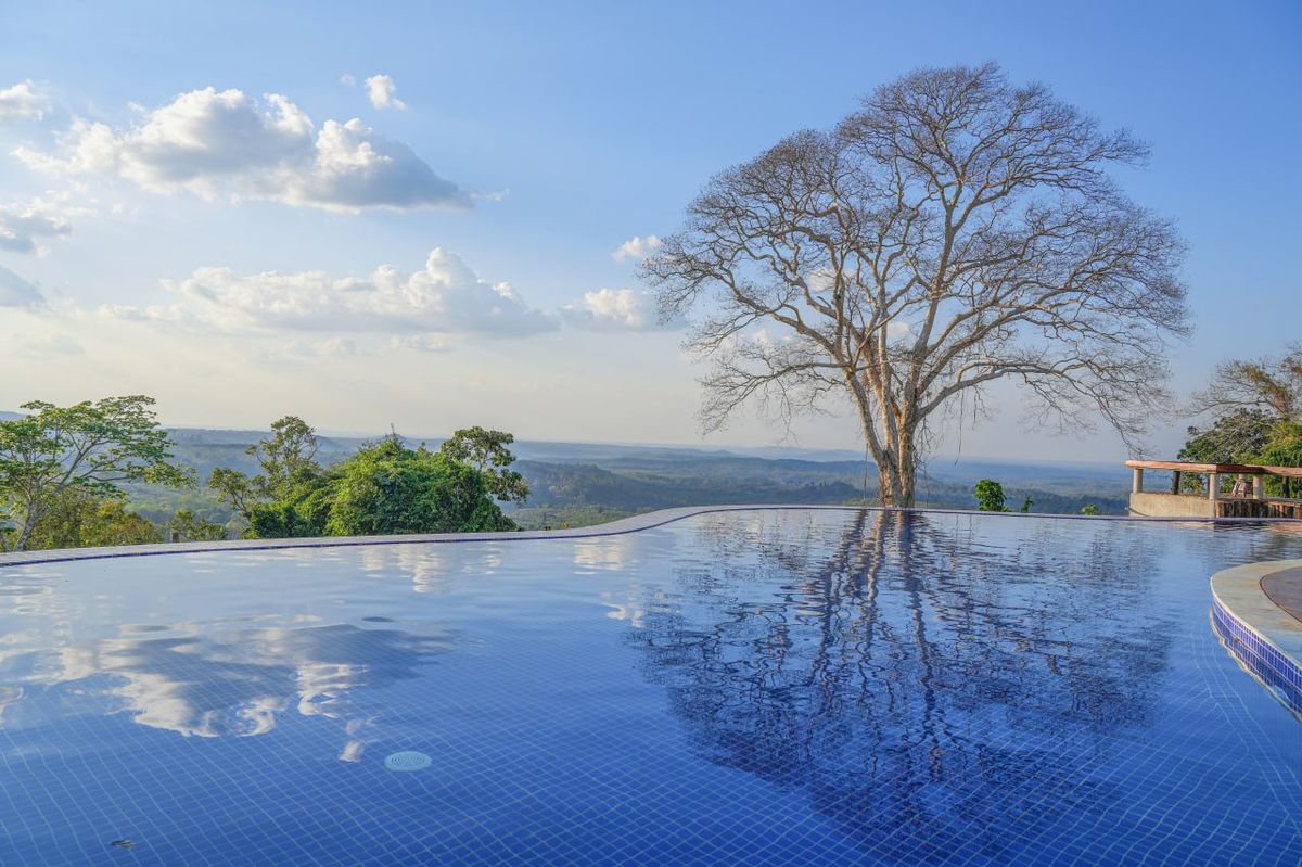 Mondulkiri Coffee Farm Visit