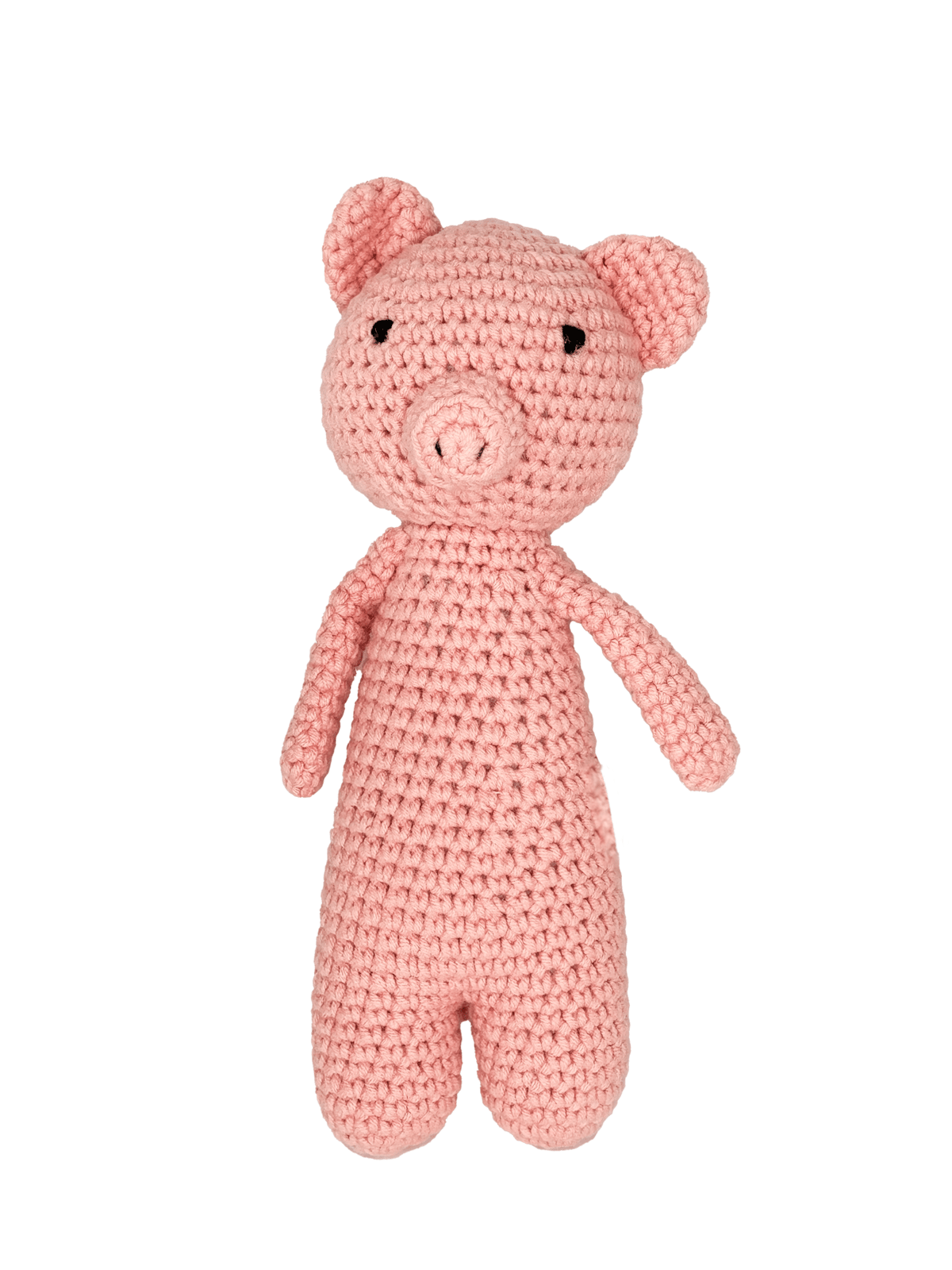 Sabay the Mini Sleepy Pig — image 1