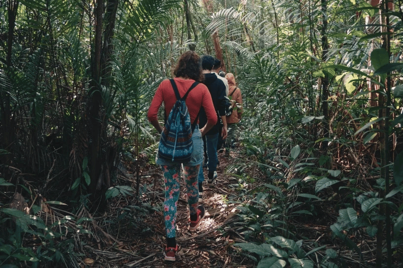 Cardamom Tented Camp Conservation Stay