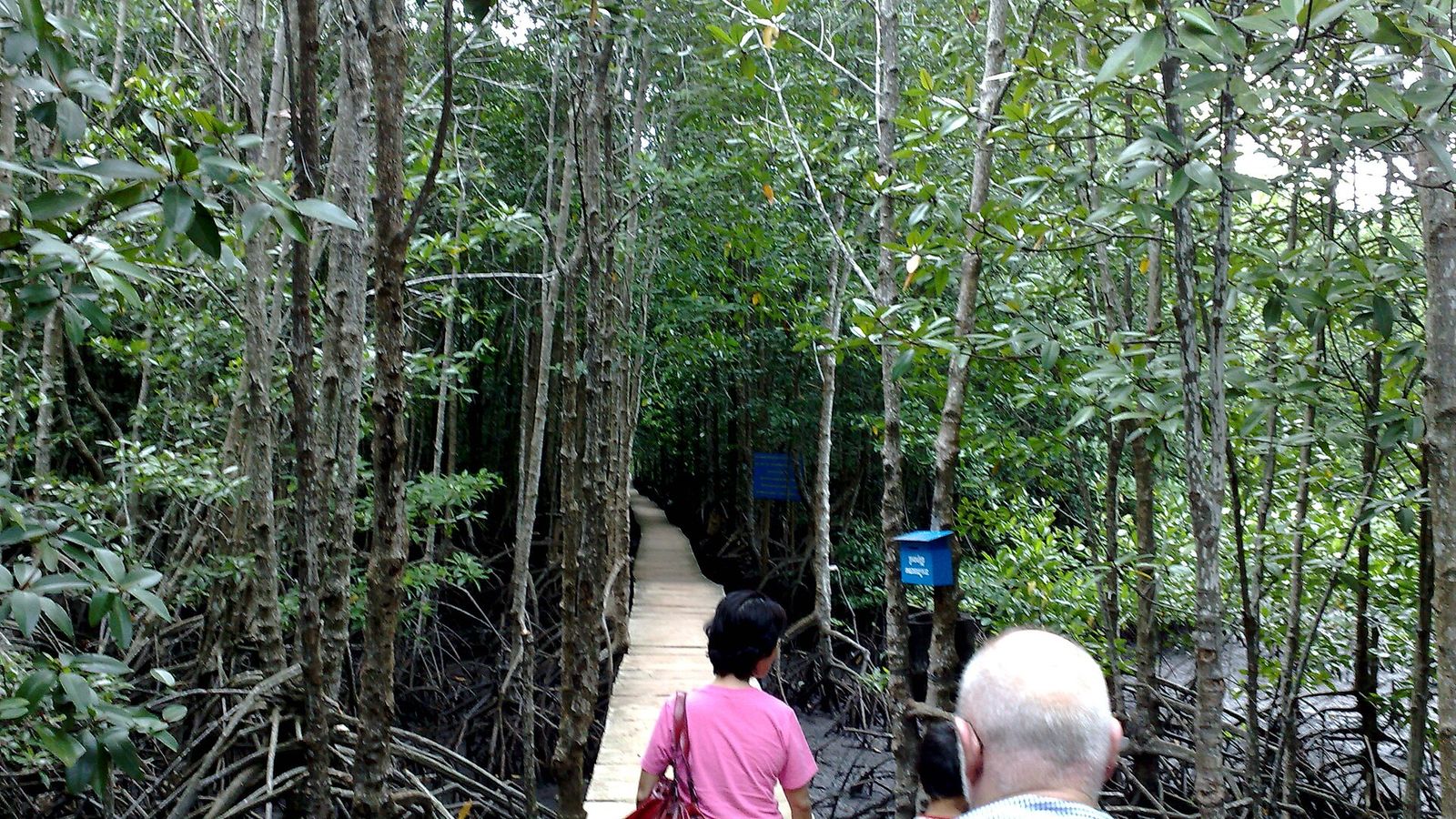 Peam Krasop Wildlife Sanctuary