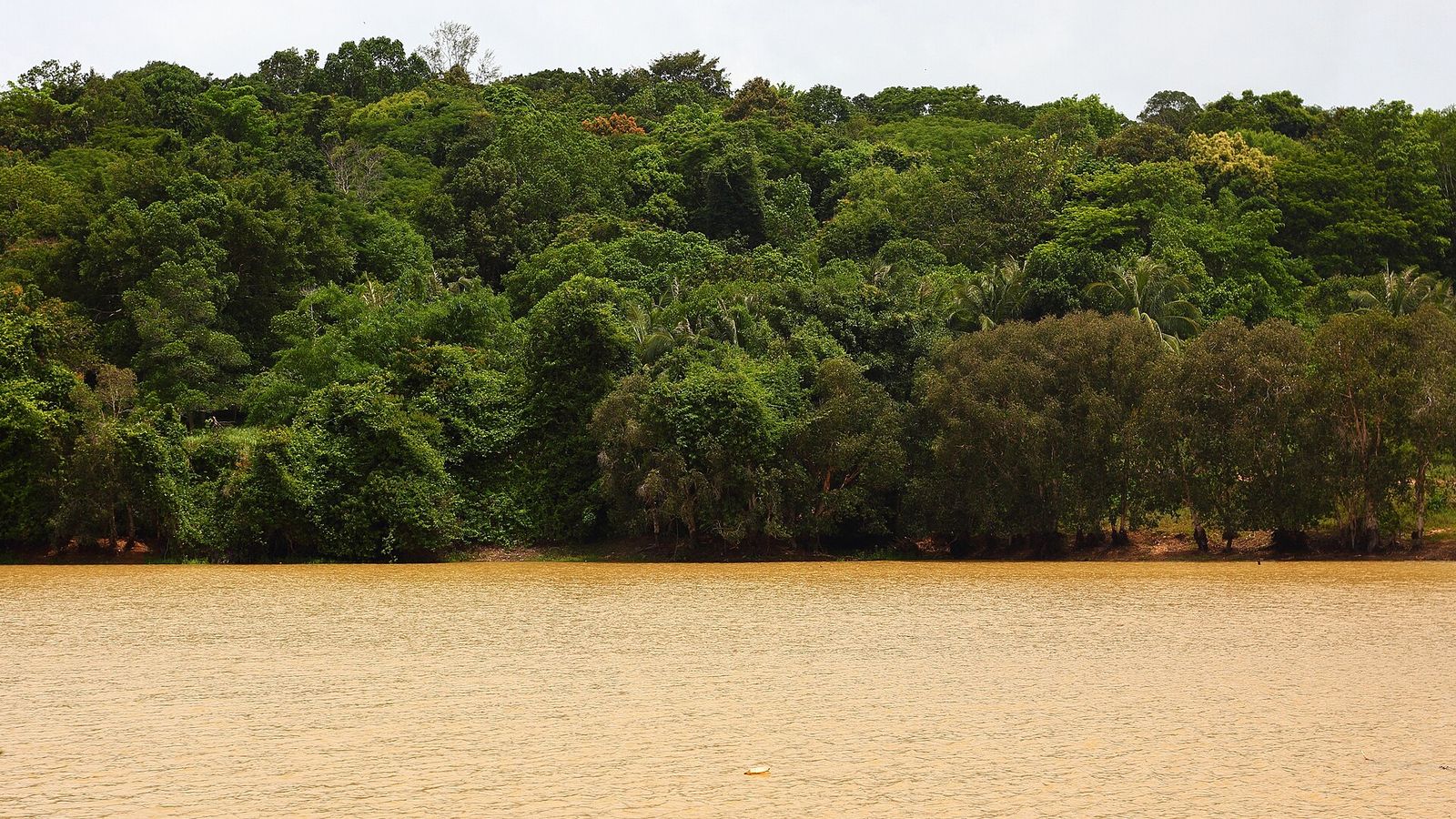 Cardamom Mountains