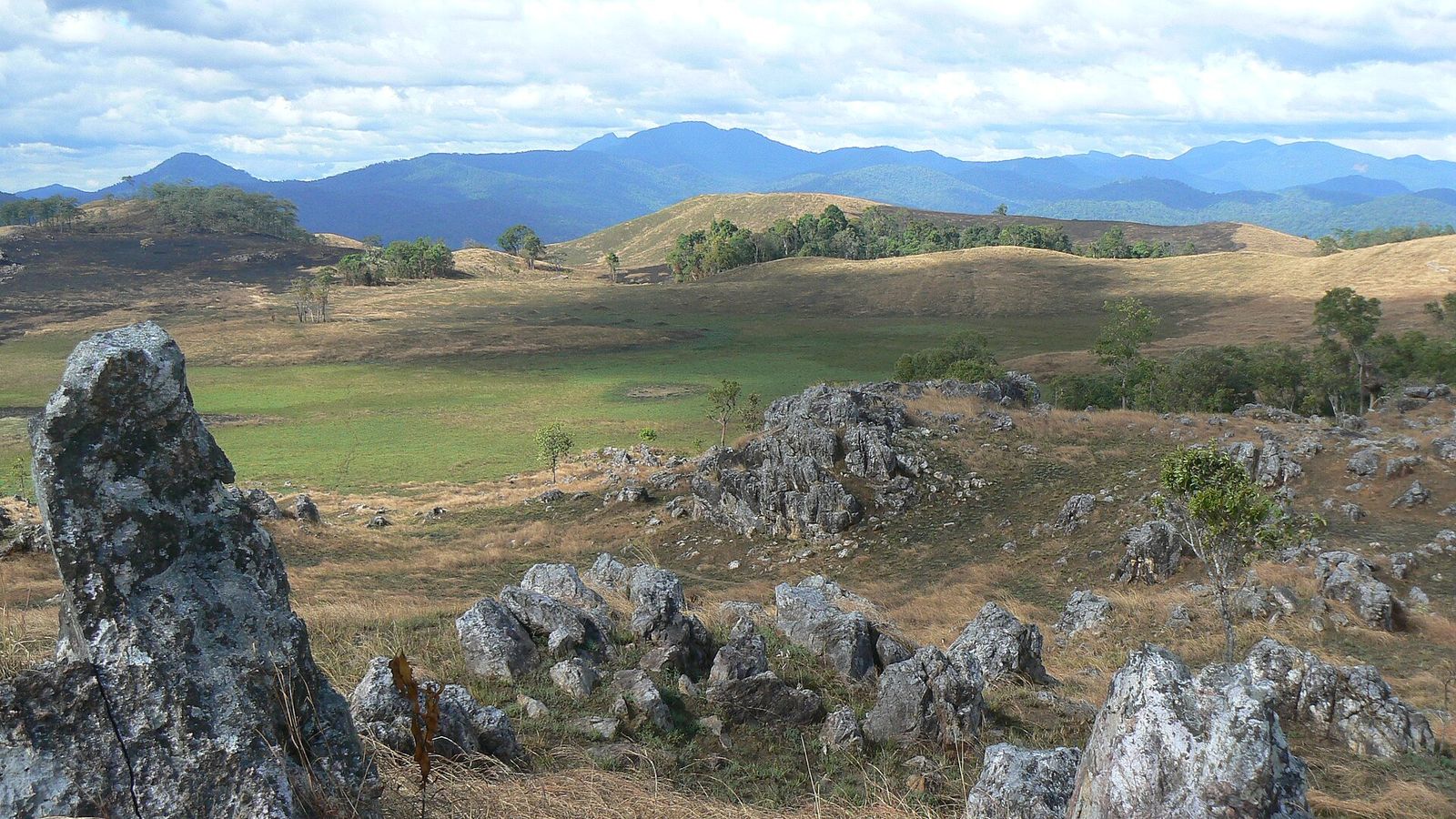 Virachey National Park