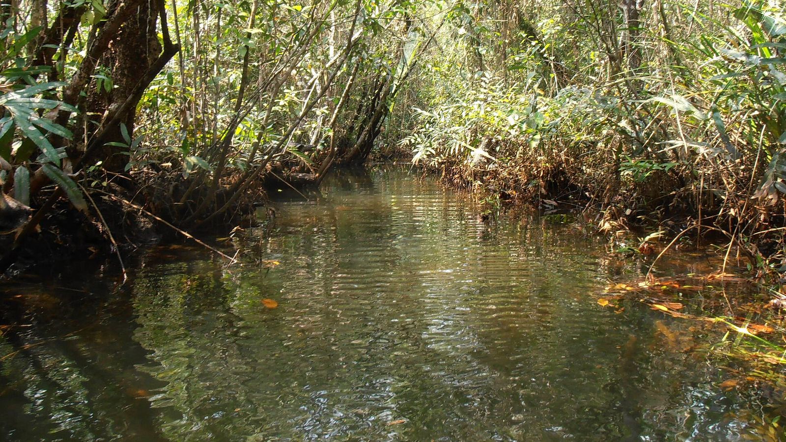 Botum Sakor National Park