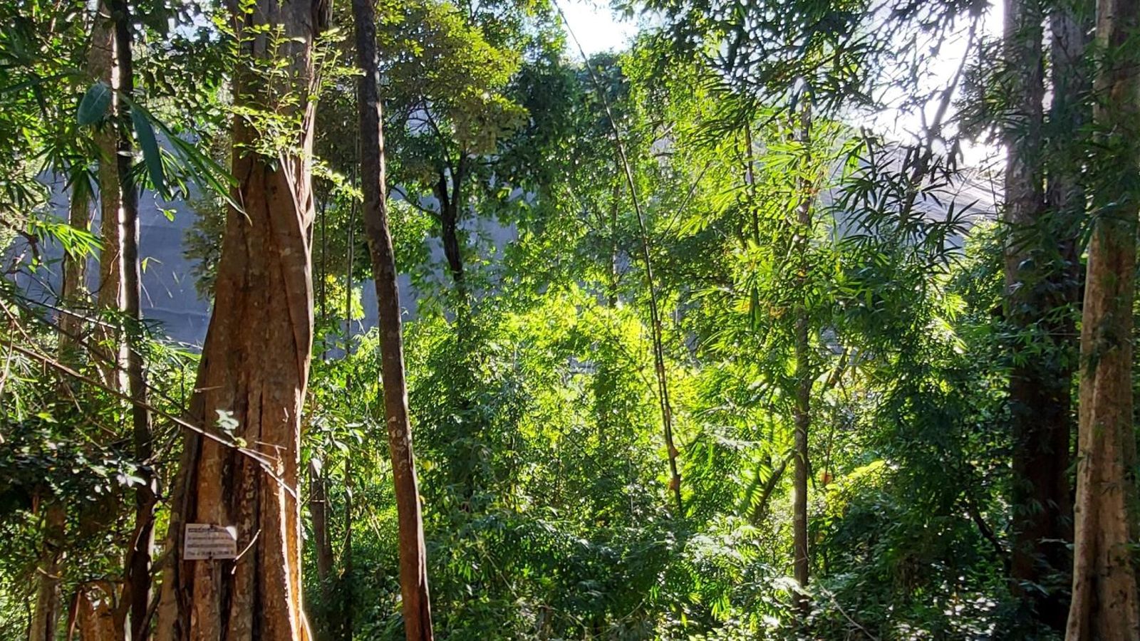 5 hiking places in Cambodia you should not miss