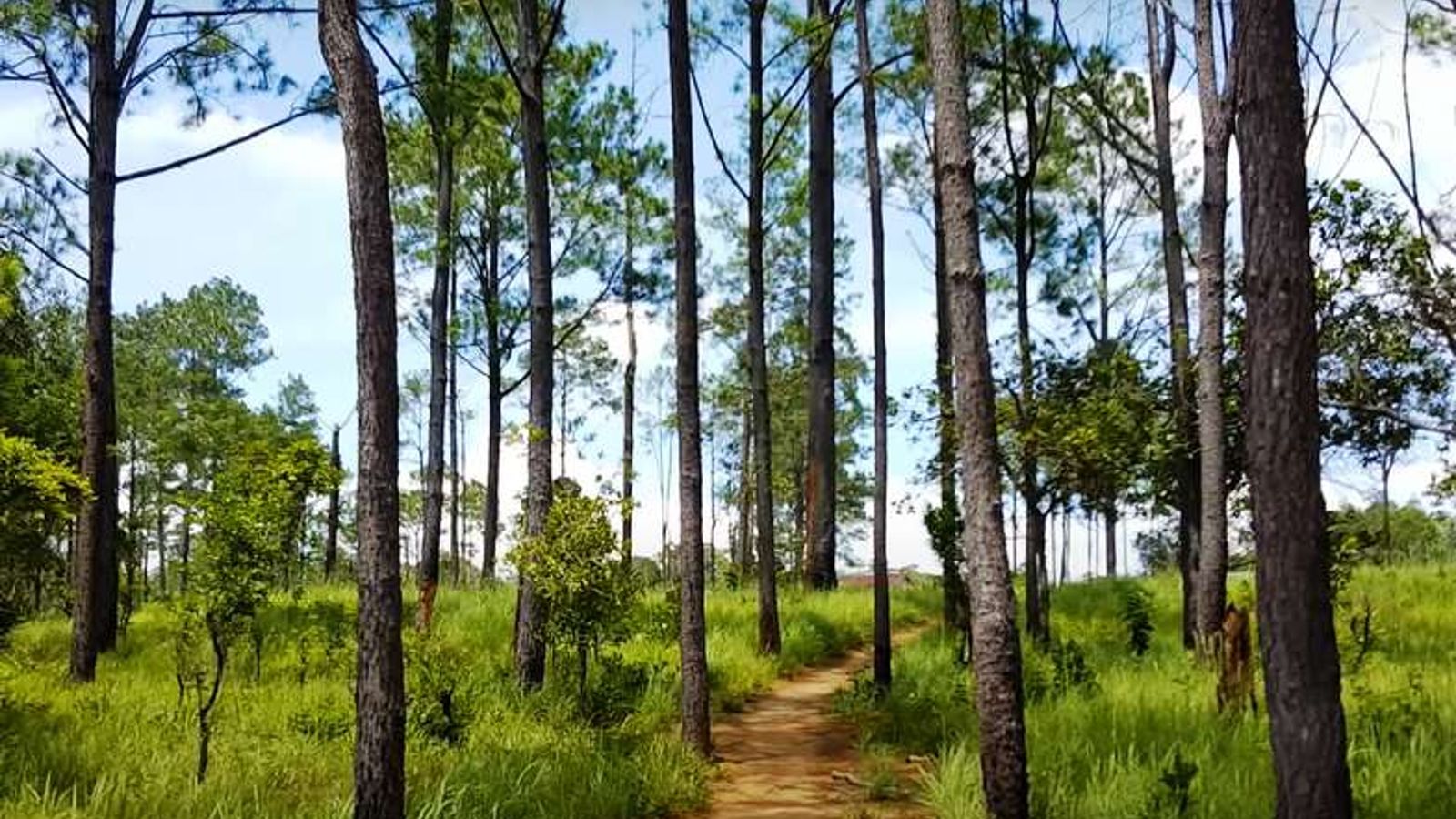 Kirirom National Park