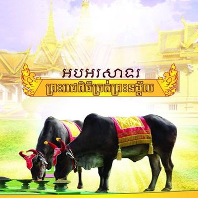 wp:org:wp-content/uploads/2024/08/05130017/Cambodia-Royal-Ploughing.jpg