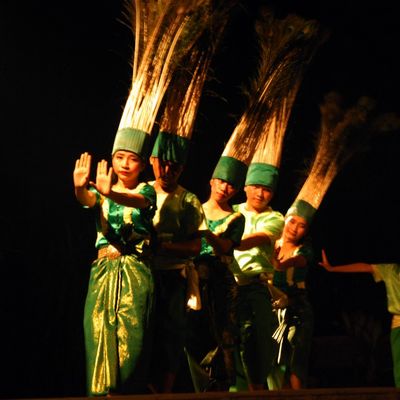 wp:org:wp-content/uploads/2024/08/05131058/Robam-Kngork-Pouthisat-Pursat-Peacock-Dance.jpg