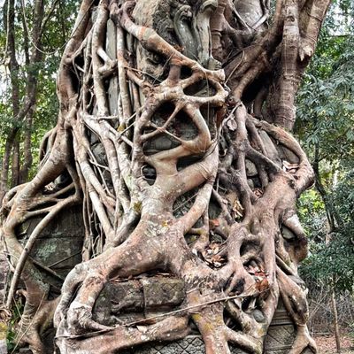 wp:org:wp-content/uploads/2025/07/Trapheang-Khnar-Sen-Keo-©-Sabay-News-1.jpg