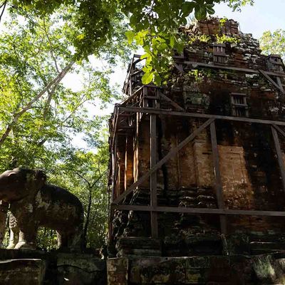 wp:org:wp-content/uploads/2025/07/Damrei-Temple-©-National-Authority-of-Preah-Vihear-7.jpg