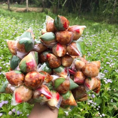 wp:org:wp-content/uploads/2024/08/10102148/Khmer-snack-Nem-2.jpg