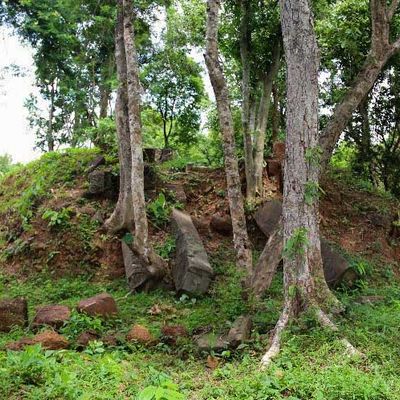 wp:org:wp-content/uploads/2025/08/ReamKer-Temple-©-National-Authority-of-Preah-Vihear-1.jpg