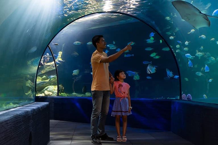 Angkor Wildlife & Aquarium Visit