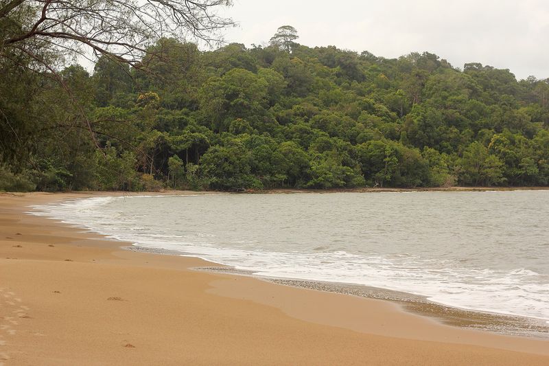 Ream National Park Mangrove Boat Trip
