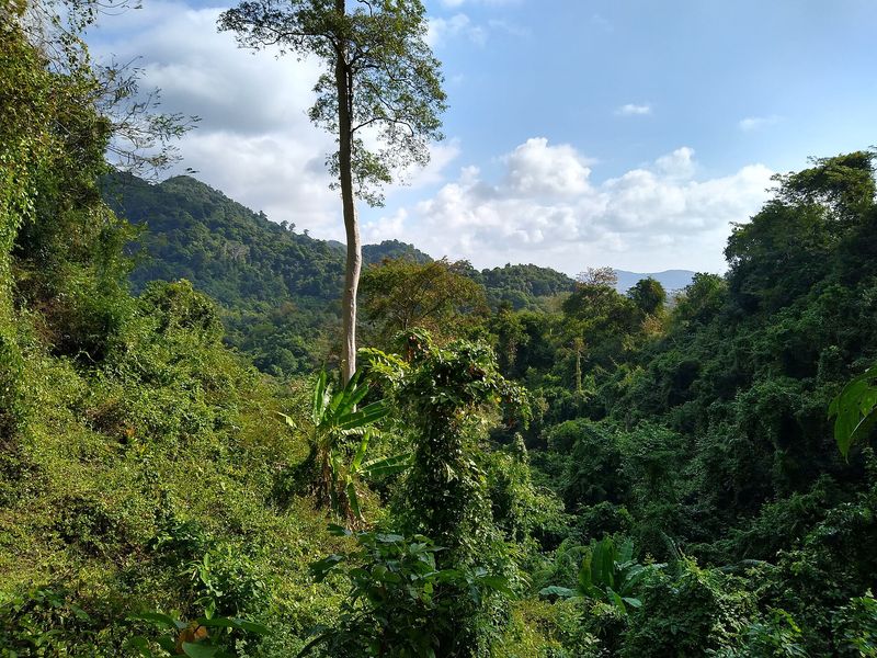 Kep National Park Forest Loop